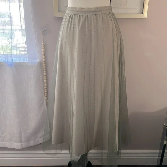 🐦⬛ H&M Tulle Swiss French Dot A-line midi Skirt size 12 - Picture 1 of 11